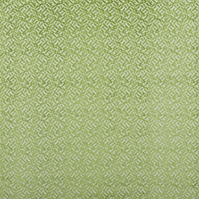 Dufrene Grass fabric