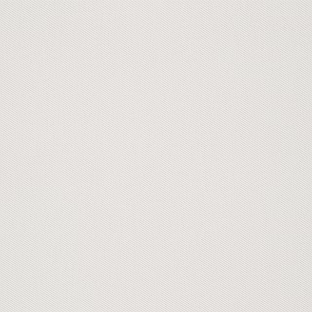 Zudio Alabaster fabric