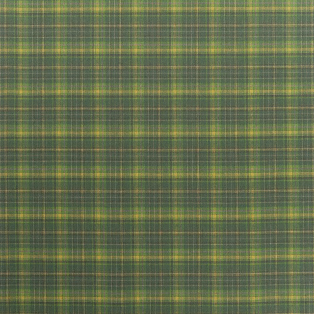 Abernethy Emerald fabric