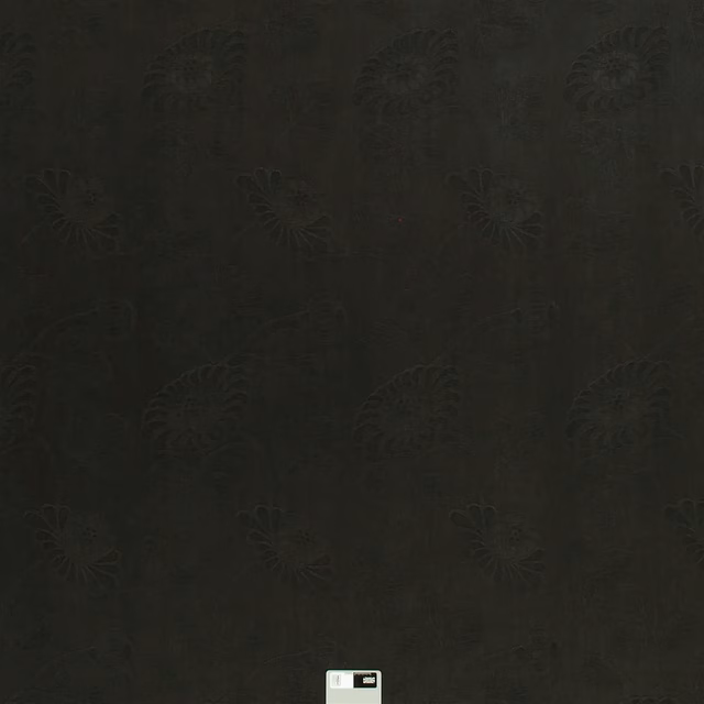 Kashima Noir fabric