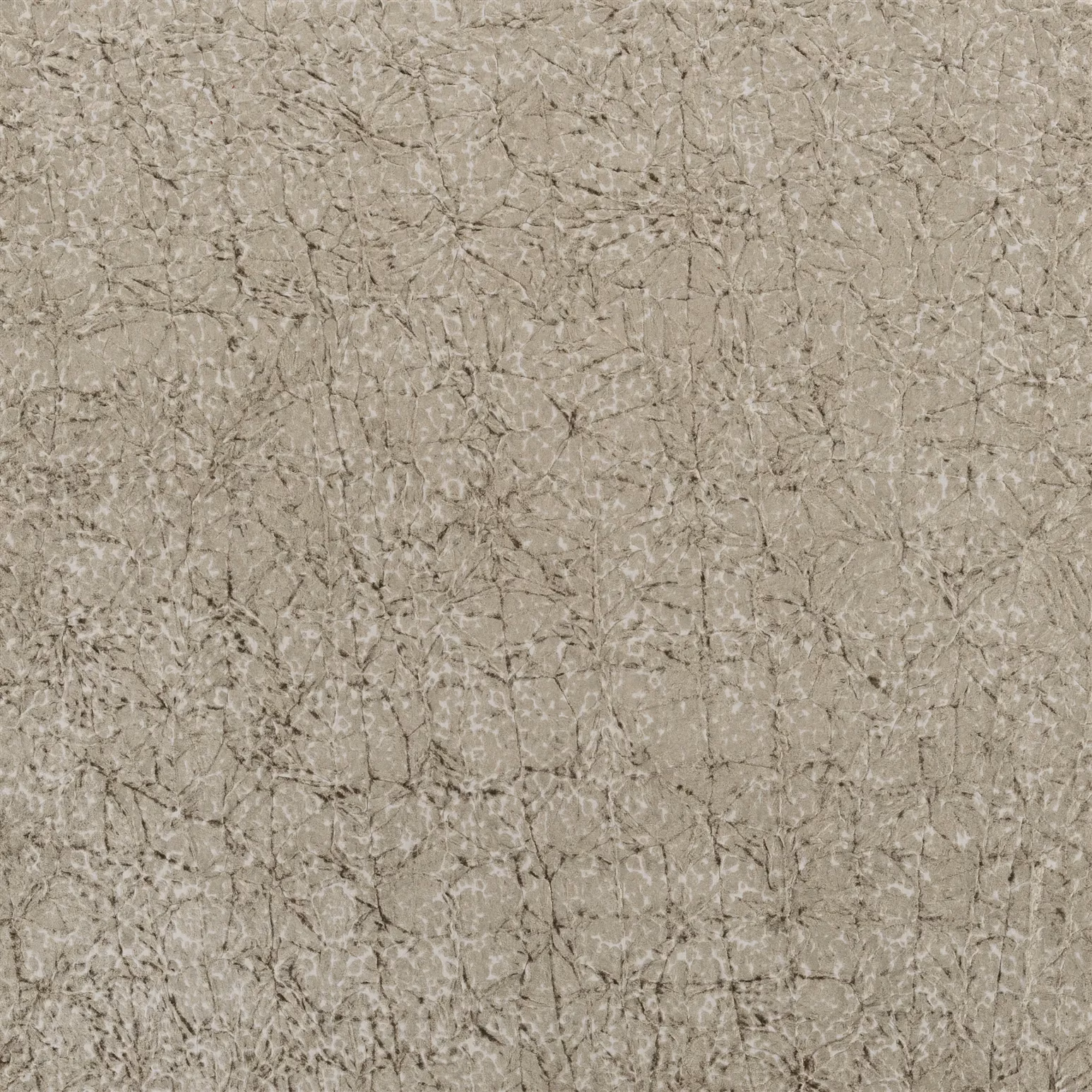Cabochette Moleskin fabric