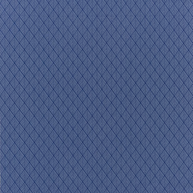 Balian Outdoor Cobalt fabric