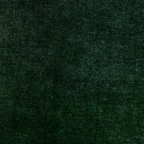 Arolla Fern fabric