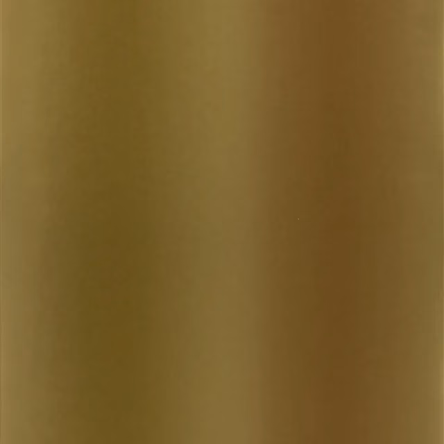 Surabaya Gold fabric
