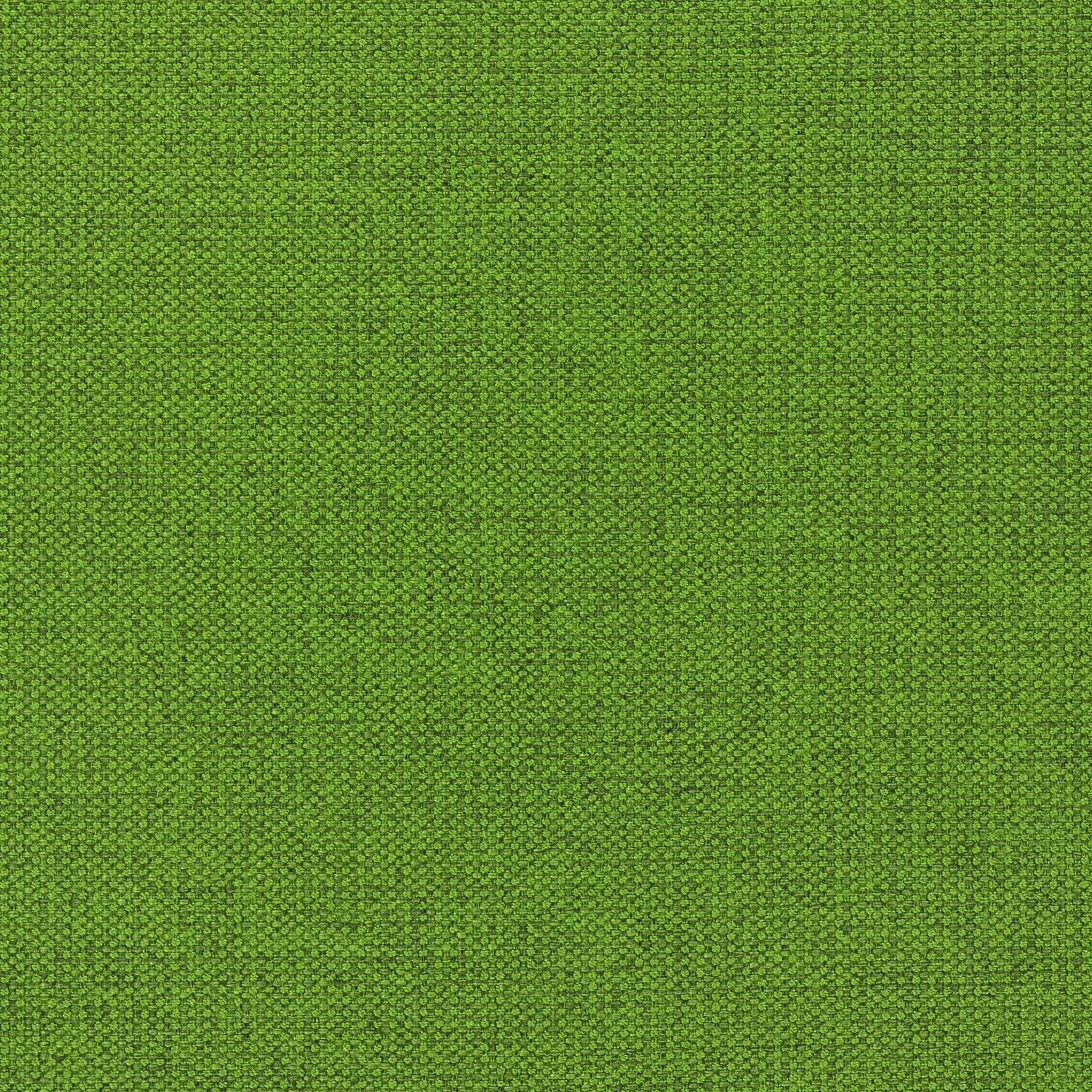 Serge Grass fabric