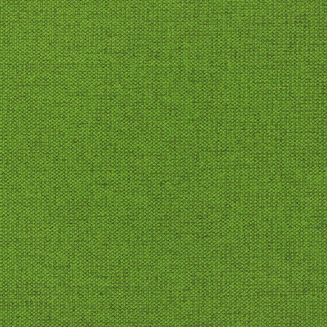 Serge Grass fabric