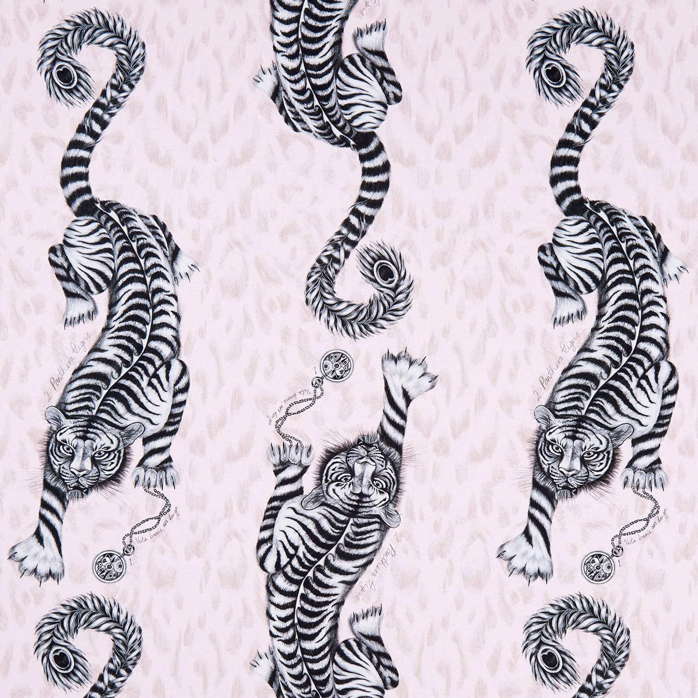 Blush pink fabric with black-and-white striped tigers and curled tails