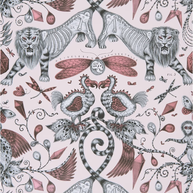 Blush-pink Animalia wallpaper with grey lions, rose birds and curling botanical details