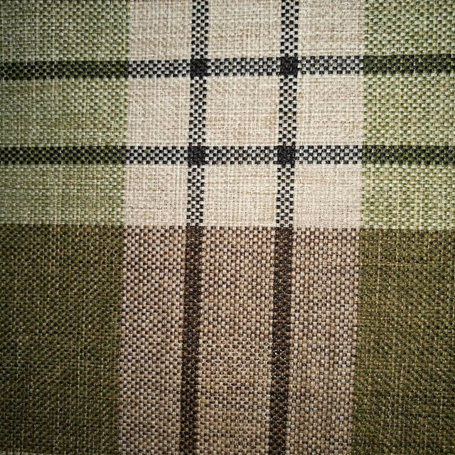 Close-up of a sage green and cream checked woven fabric with dark grid lines