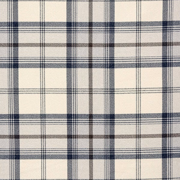 Cream checked fabric with indigo and charcoal plaid lines