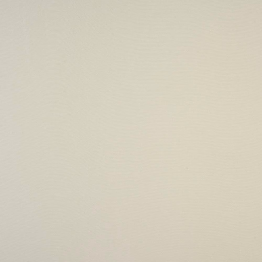 Soft warm ivory plain-woven cotton fabric swatch with fine subtle texture