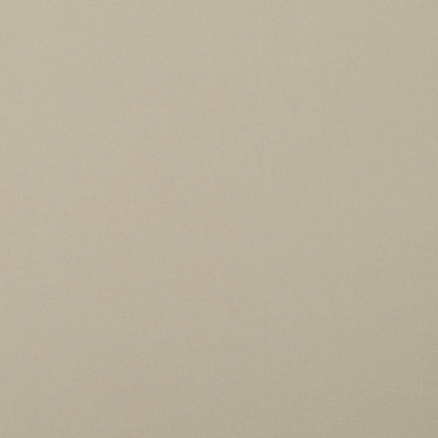 Plain warm cream cotton fabric swatch with fine matte weave