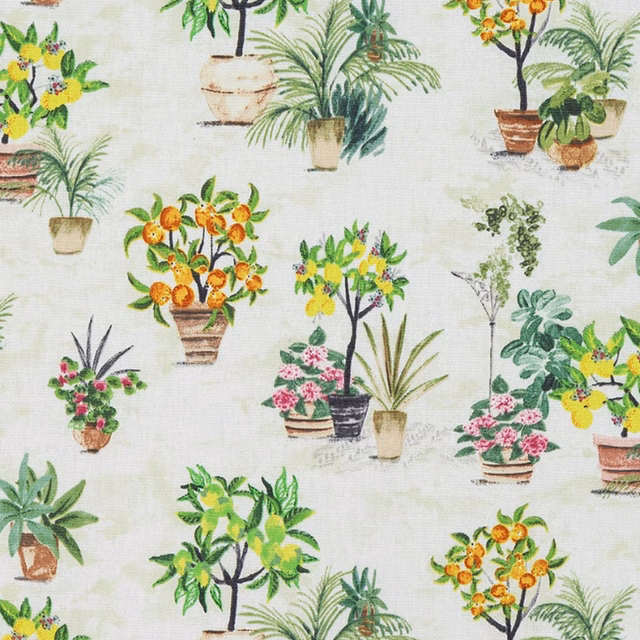 Pale botanical PVC print with potted citrus trees and leafy plants