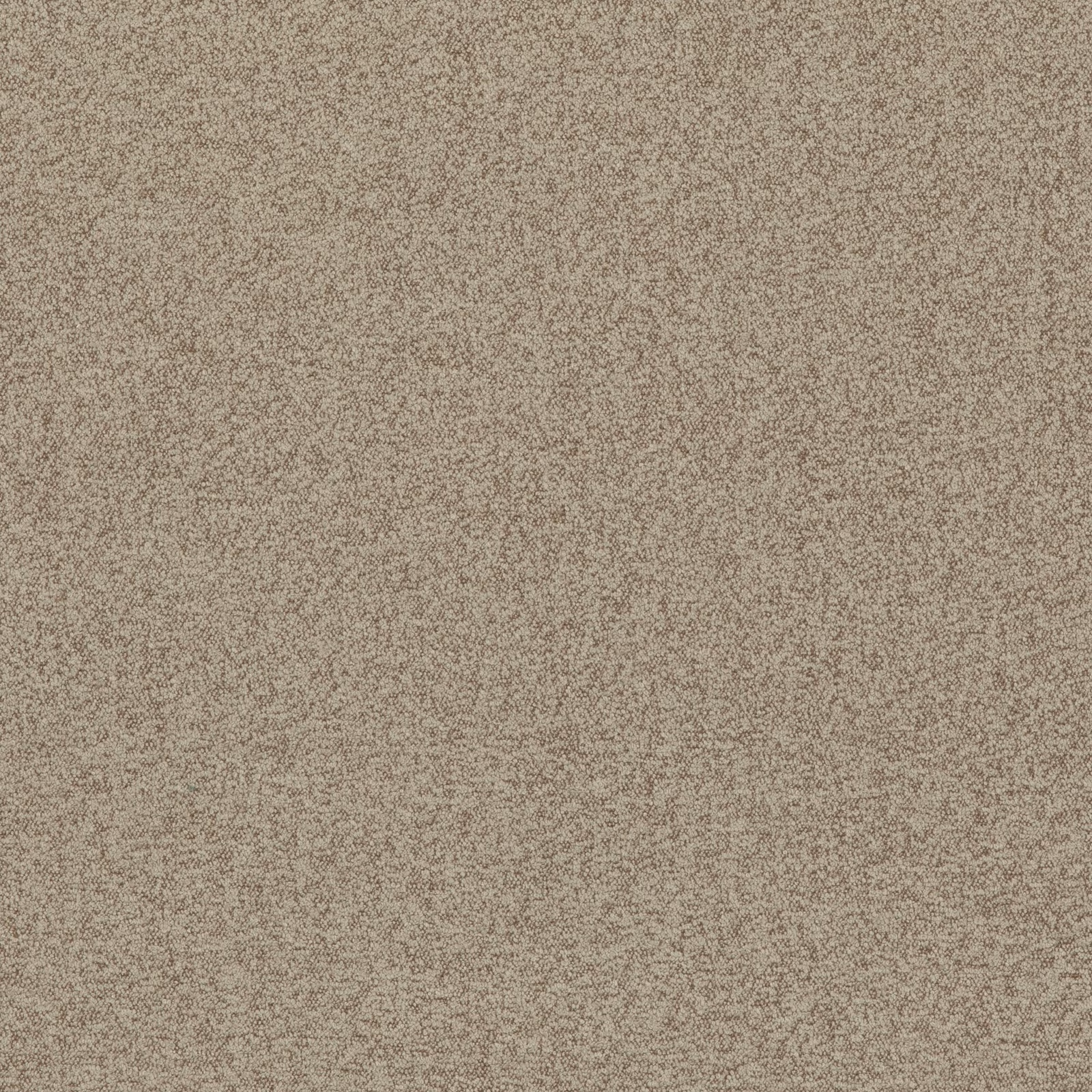 Warm parchment beige boucle with fine taupe flecks and a dense nubby texture