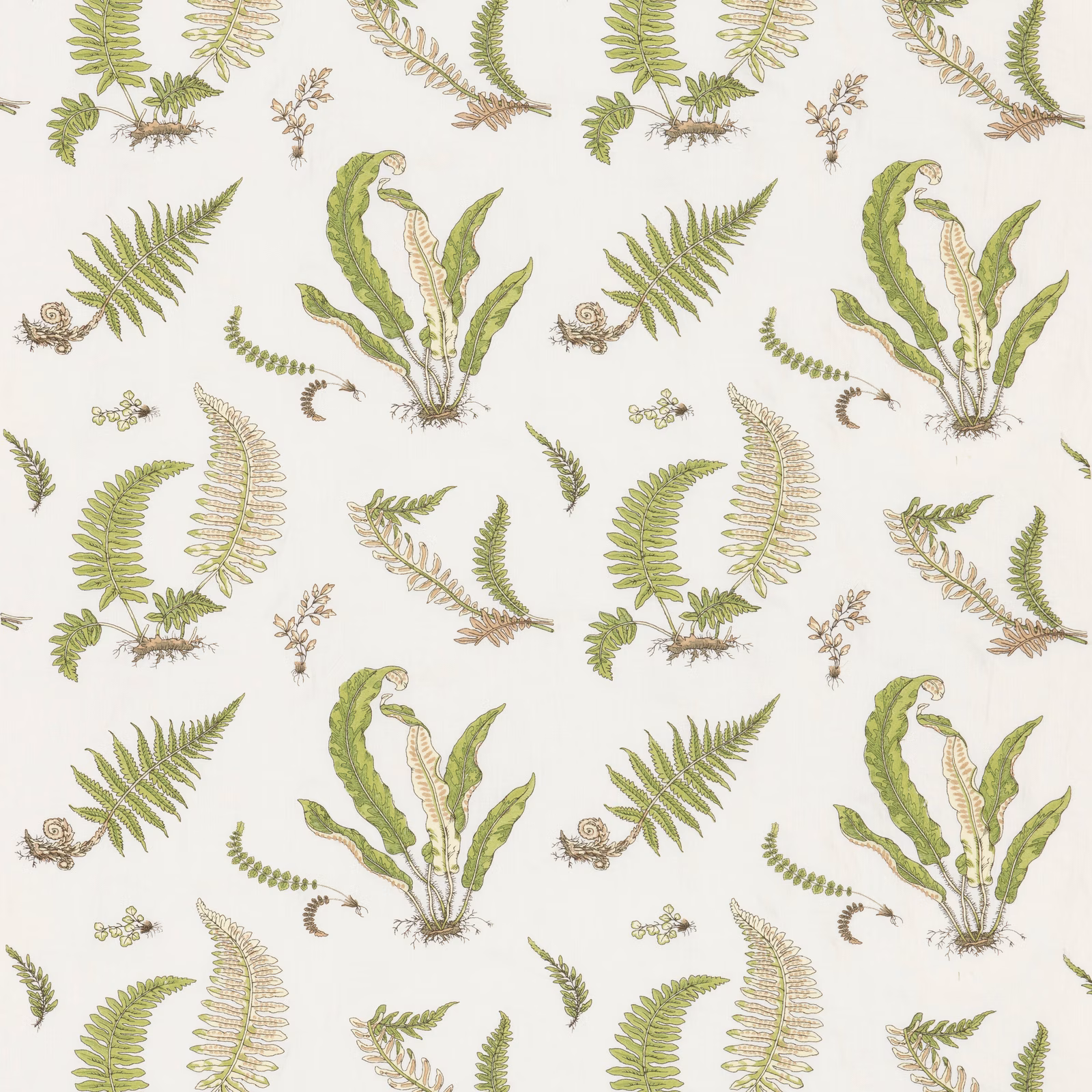 Muted fern-green fern and leaf motifs on an ivory ground with fine outlined detail