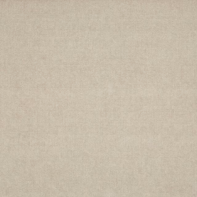 Warm pale taupe plain weave with subtle vertical grain and soft tonal mottling