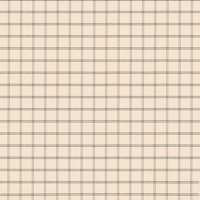 Cream textile with fine indigo windowpane checks and subtle woven texture