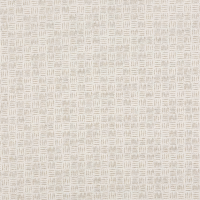 Pale pearl woven fabric with small tonal rectangular motifs and fine striped texture