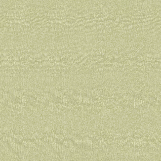 Pale cardamom green wallpaper with subtle mottled non-woven surface texture