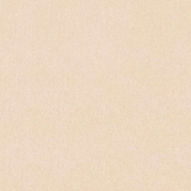 Pale champagne-beige wallpaper with a subtly mottled, softly textured non-woven surface