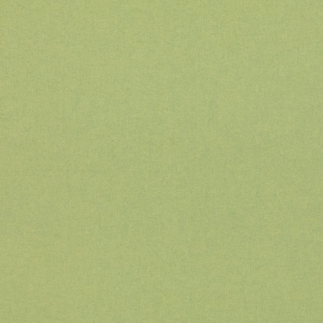 Close-up of plain spring green woven cloth with a softly mottled linen texture