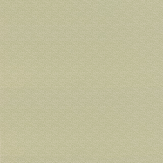 Pale muted sage cotton with a fine, softly speckled woven texture