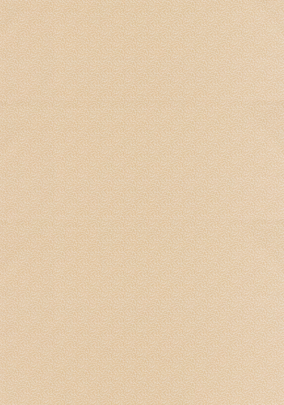 Warm sand cotton swatch with a barely perceptible fine-grained texture and quiet tonal depth