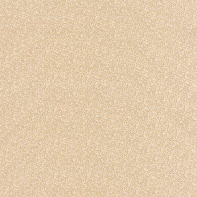 Warm sand cotton swatch with a barely perceptible fine-grained texture and quiet tonal depth