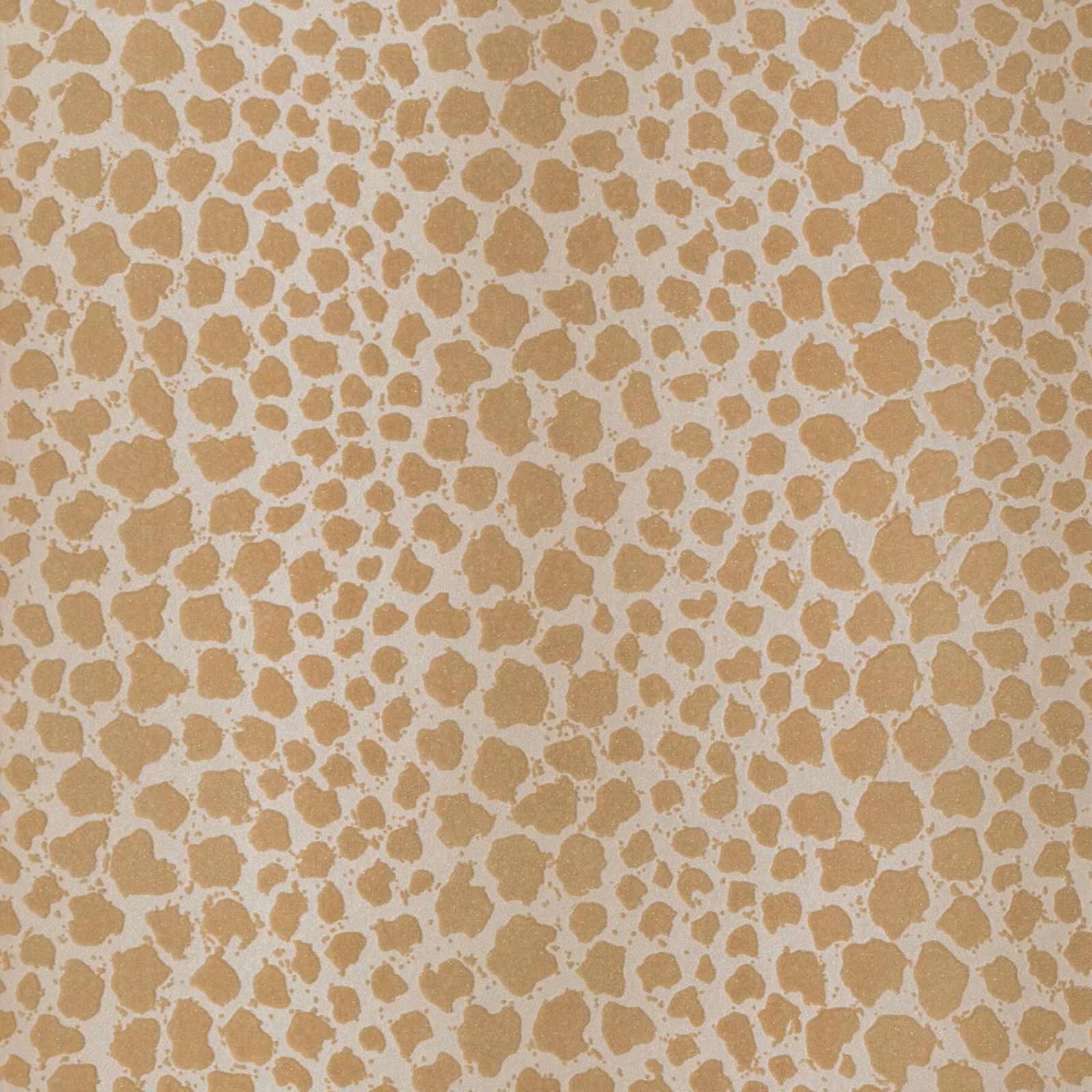 Warm sand wallpaper with irregular taupe pebble shapes and pale connecting lines