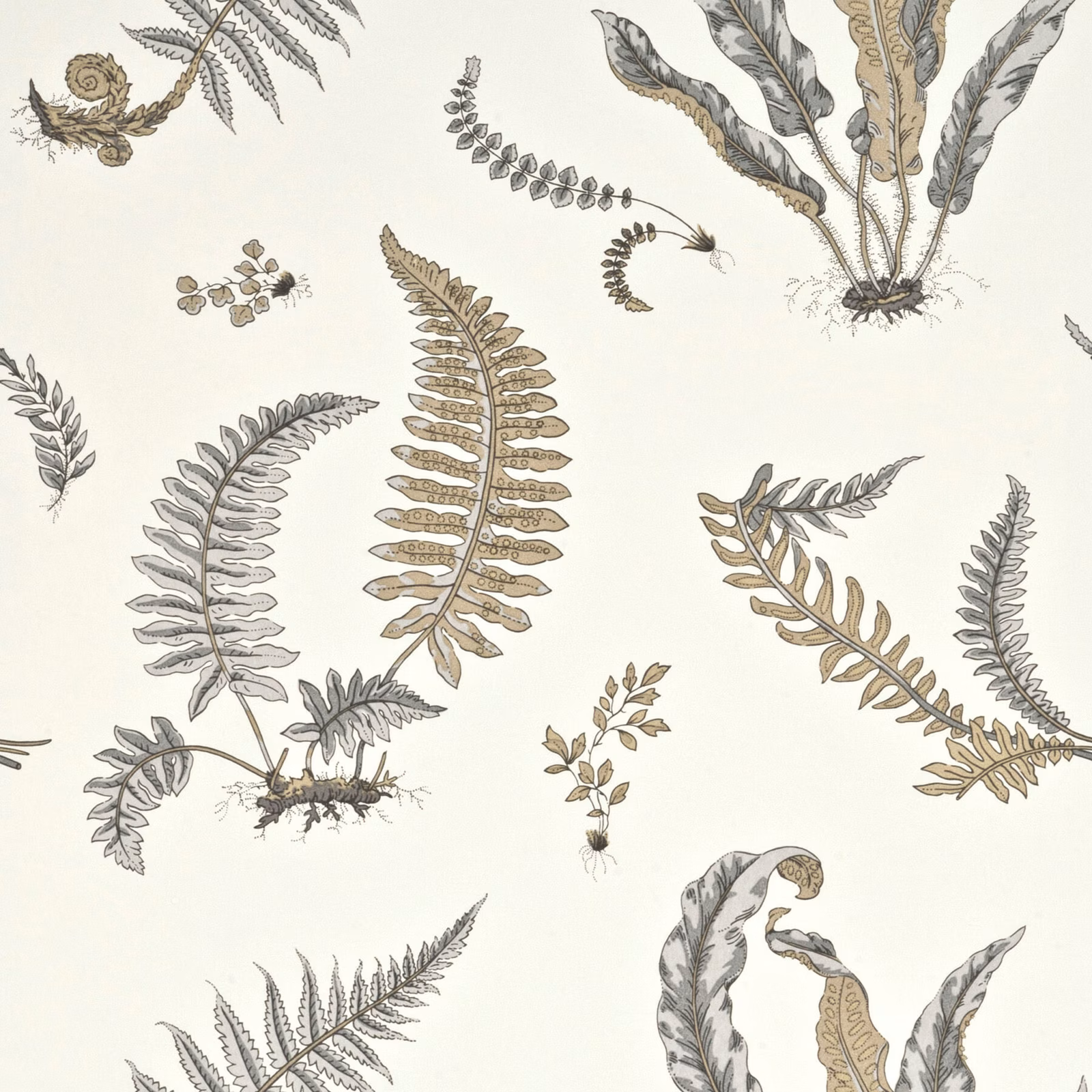Dove grey and silver fern illustrations scattered across a pale wallpaper ground