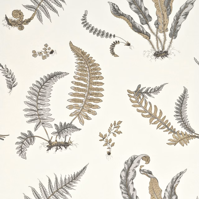 Dove grey and silver fern illustrations scattered across a pale wallpaper ground