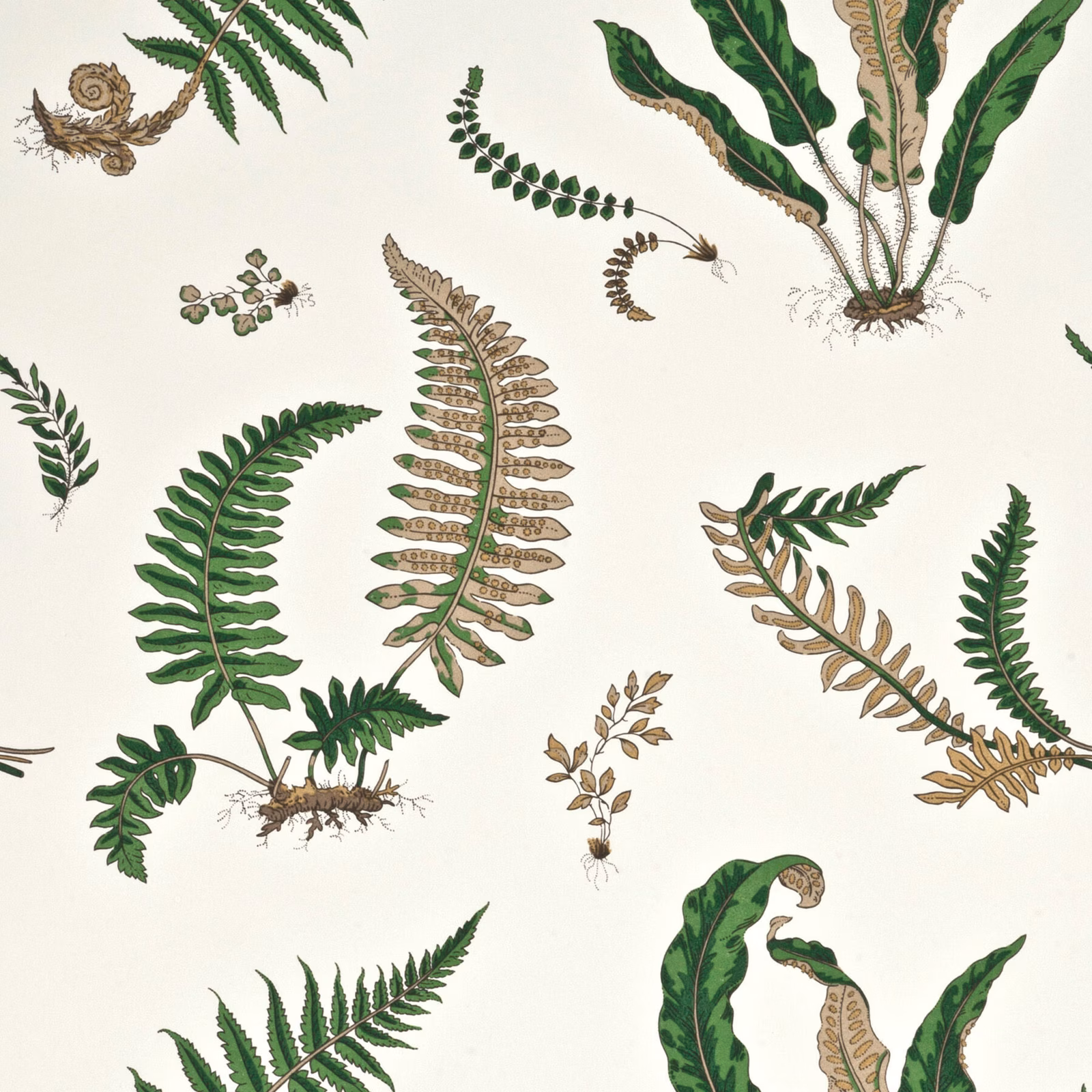 Ivory wallpaper with scattered green fern fronds and sepia botanical details