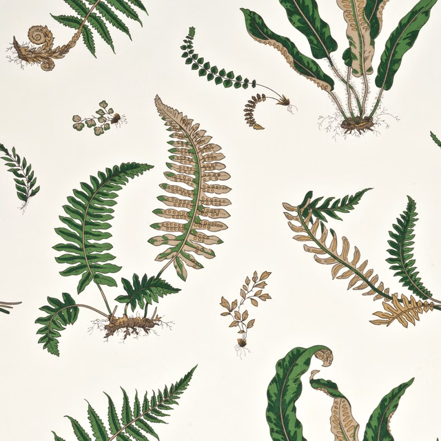 Ivory wallpaper with scattered green fern fronds and sepia botanical details