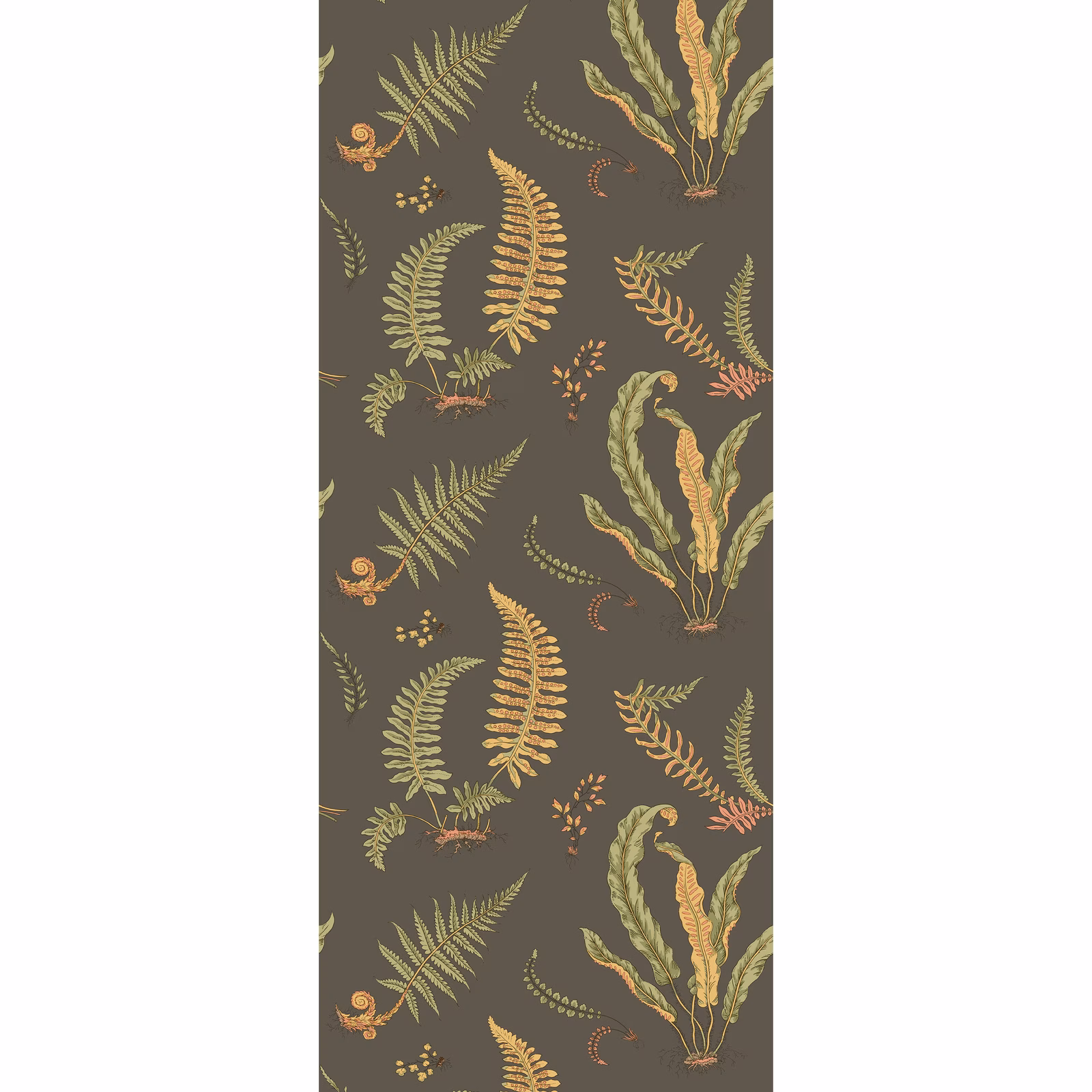 Charcoal wallpaper with olive, ochre and coral fern fronds in a repeating botanical layout