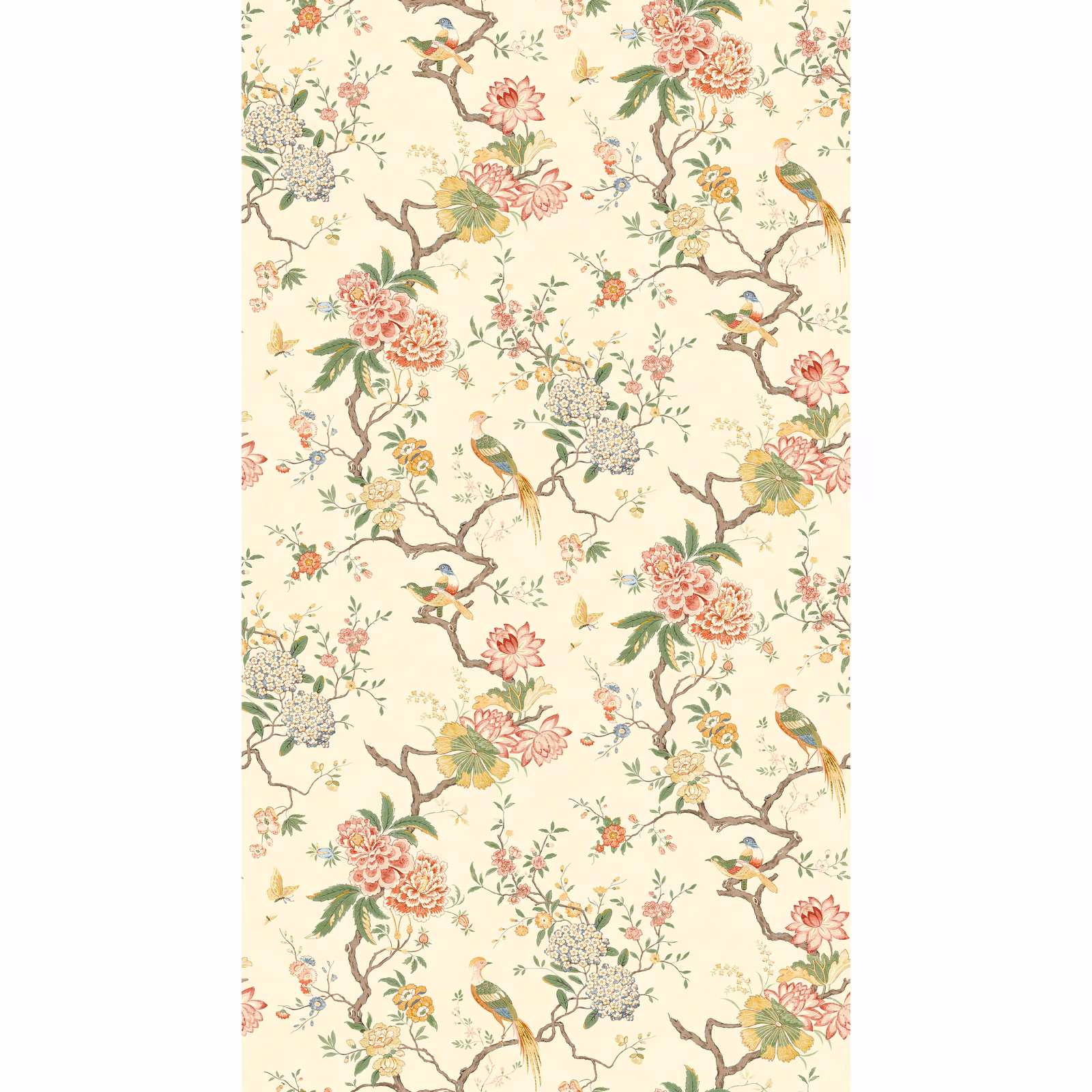 Warm ivory wallpaper with coral blossoms, perched birds, sage leaves and branching stems