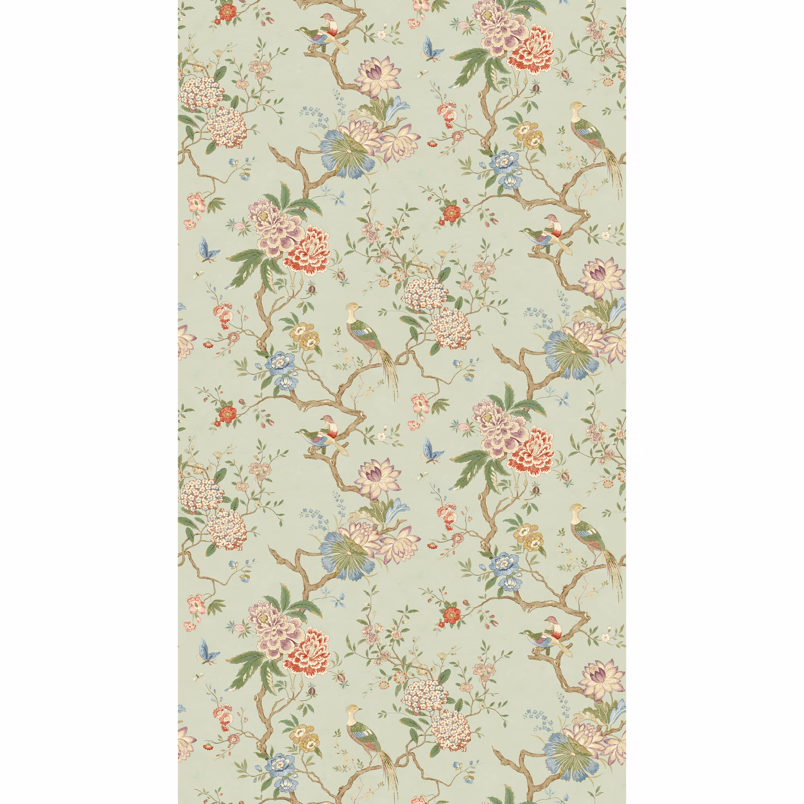 Pale eau de nil wallpaper with flowering branches, perched birds and coral blooms