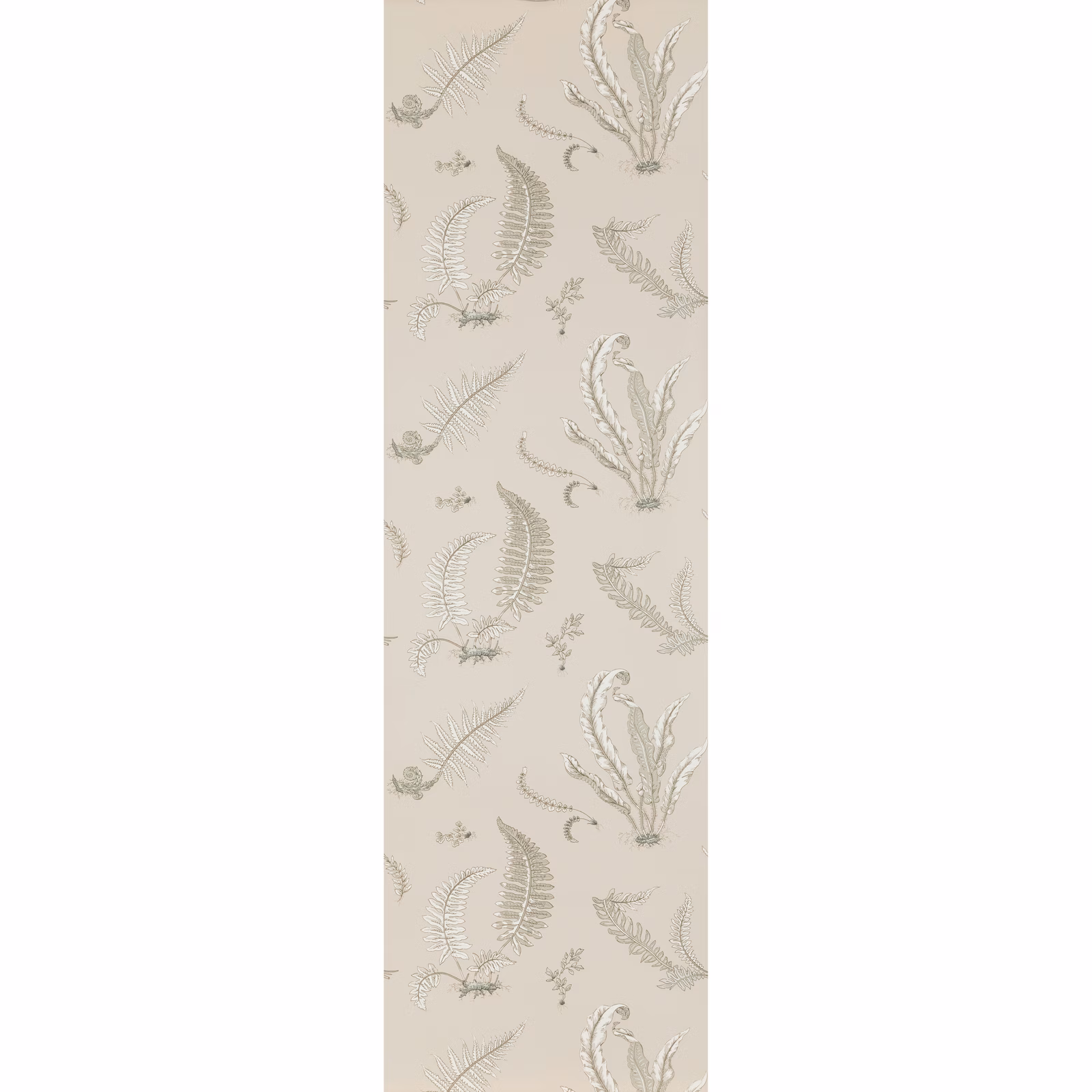 Pale linen-beige wallpaper with grey-green fern fronds and delicate botanical sprigs