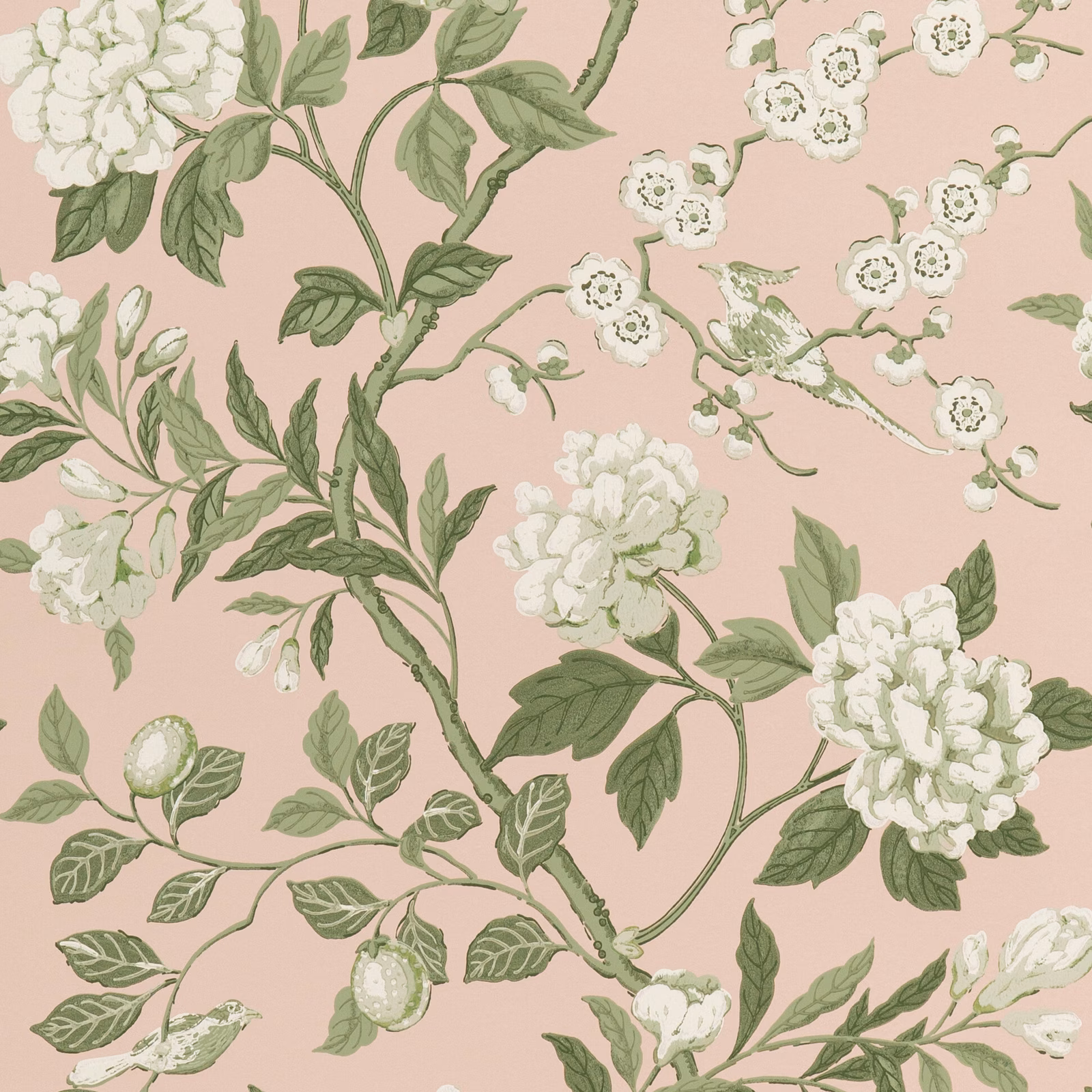 Blush pink wallpaper with cream peonies and sage-green flowering branches
