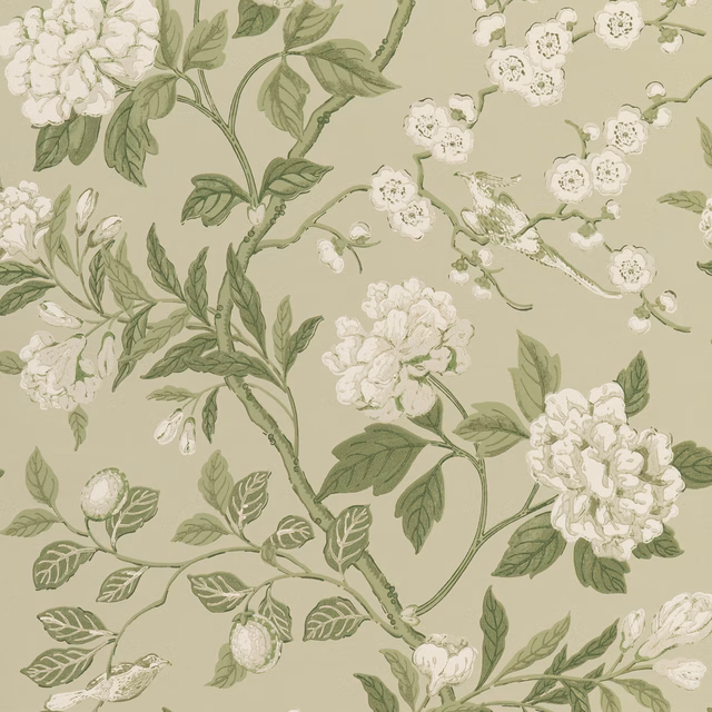 Soft sage wallpaper with ivory peonies, blossom sprays and trailing olive-green branches