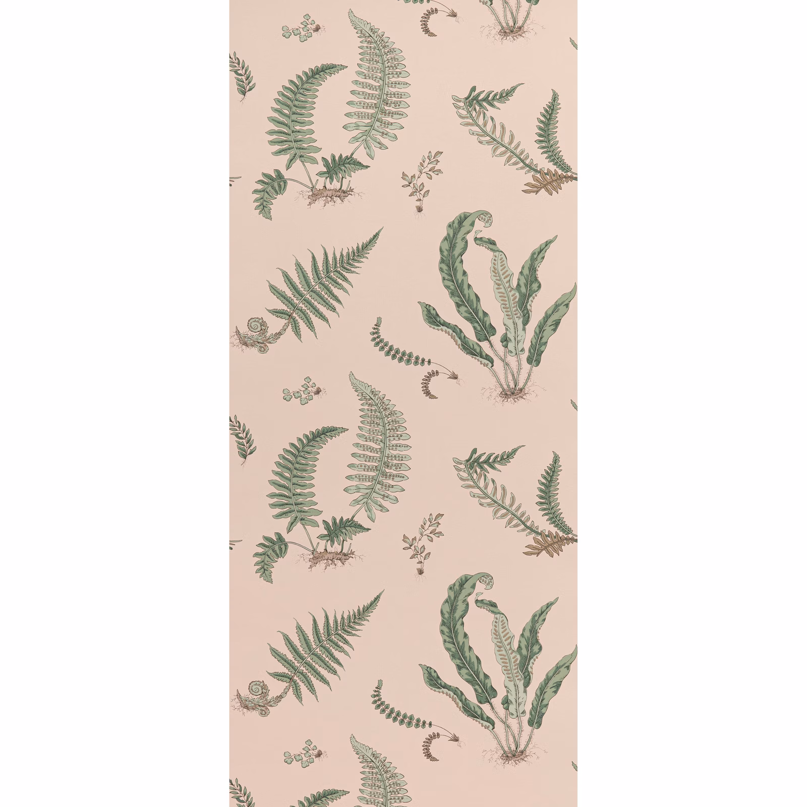 Blush pink wallpaper with muted sage fern fronds and delicate botanical sprigs