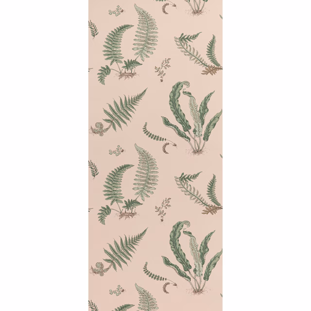 Blush pink wallpaper with muted sage fern fronds and delicate botanical sprigs