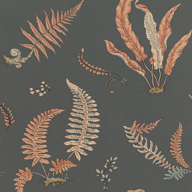 Charcoal wallpaper with coral, cream and muted green fern illustrations