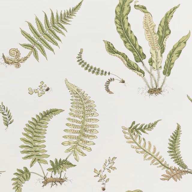 Cream wallpaper with olive and sage illustrated fern fronds and delicate botanical details