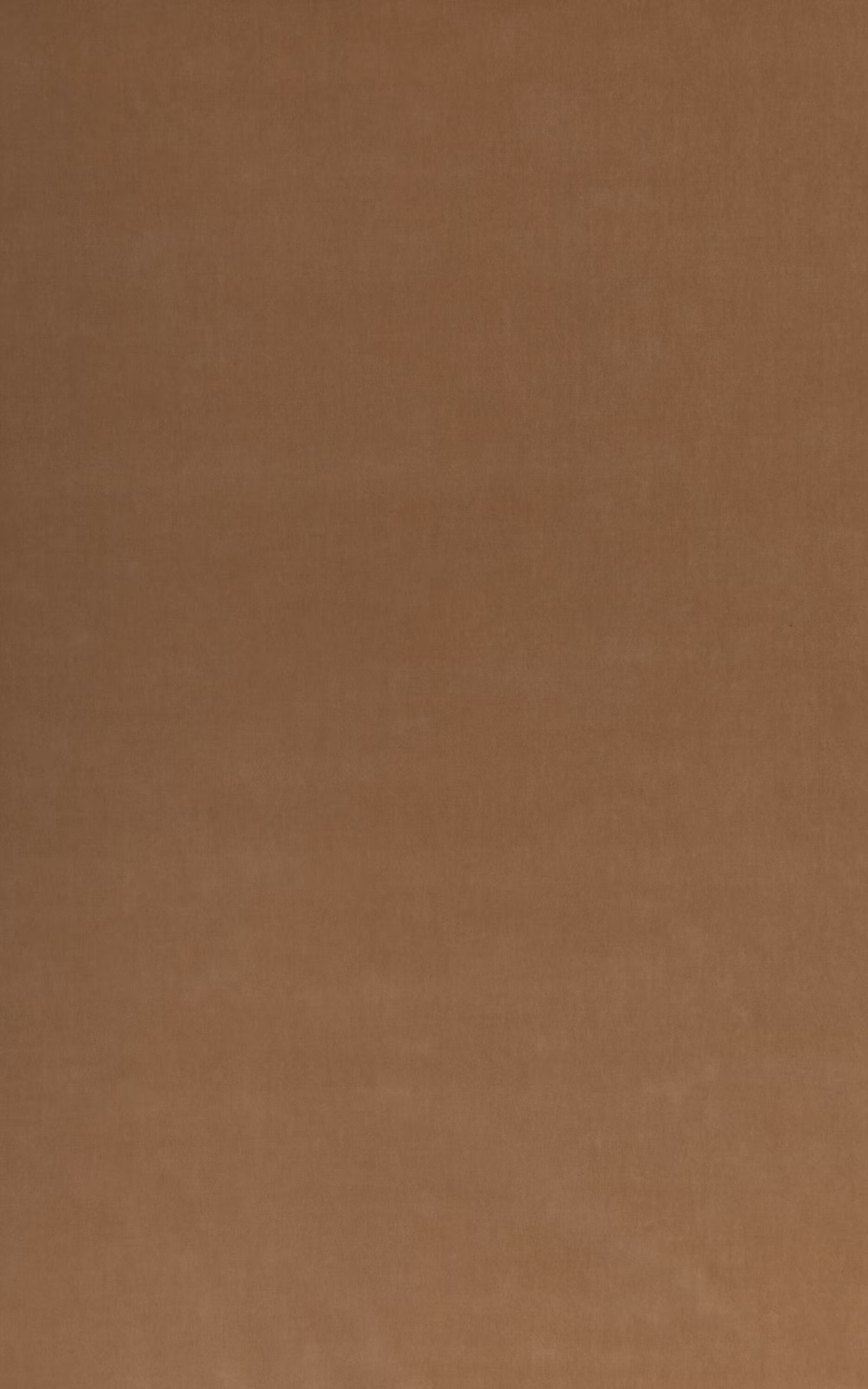 Warm taupe velvet with a softly shifting pile and plain surface