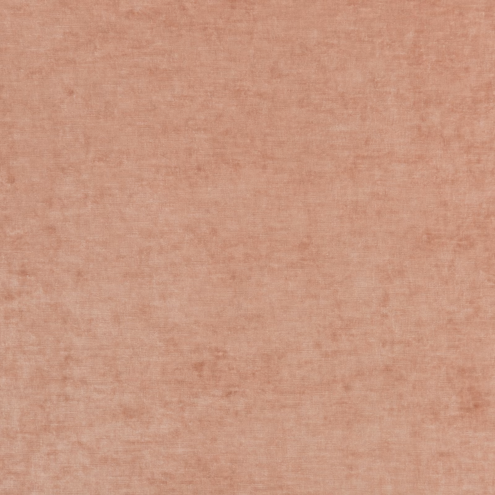 Close-up of dusty blush pink velvet with softly mottled light-catching nap