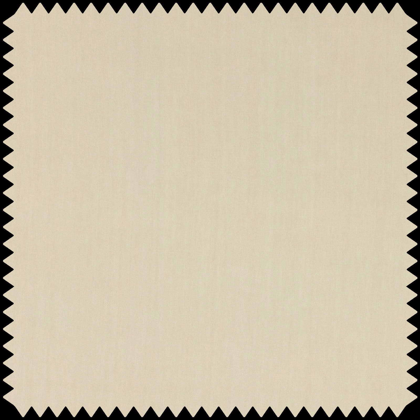 Warm ecru plain weave swatch with fine vertical striations and pinked edges