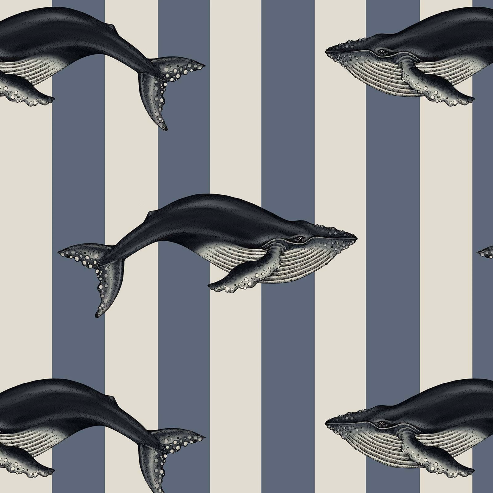 Cool denim stripes with near-black whale illustrations and ivory underbellies