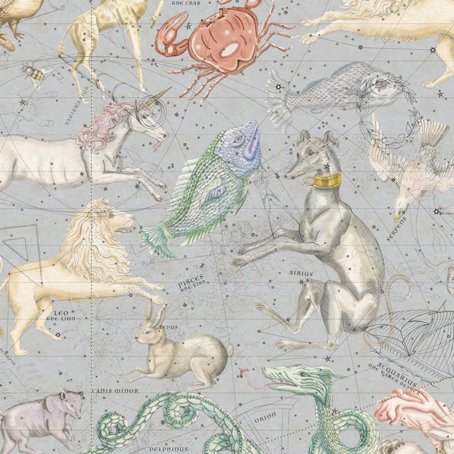 Pale blue-grey celestial map wallpaper with coral crab, green fish and constellations