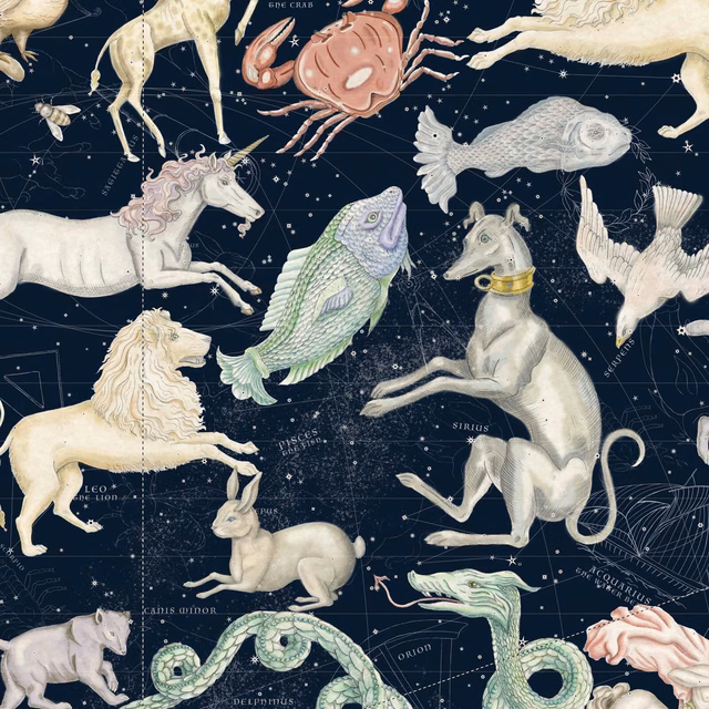 Midnight navy wallpaper with cream zodiac animals, constellations and scattered stars