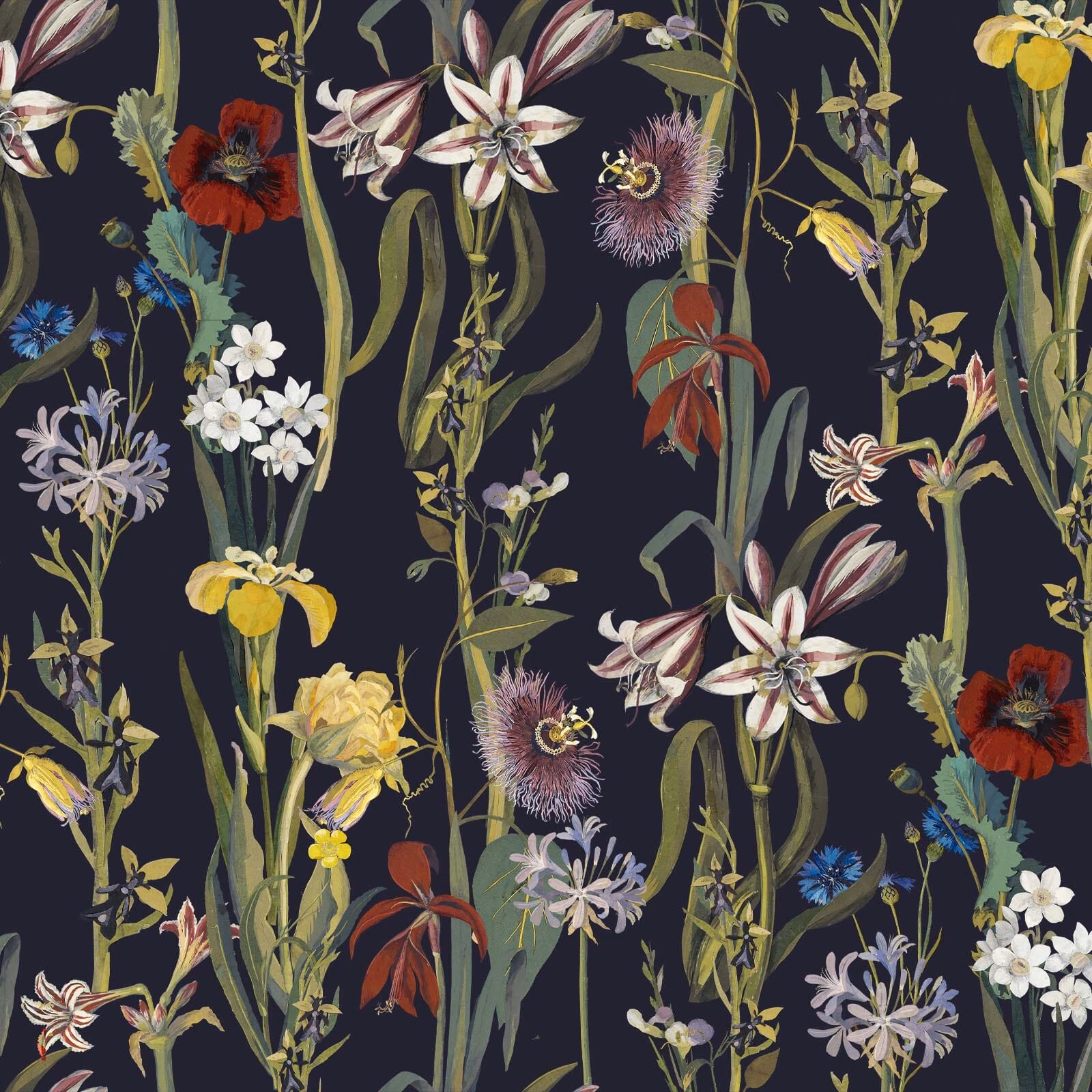 Midnight navy wallpaper with colourful lilies, irises, poppies and curling botanical stems